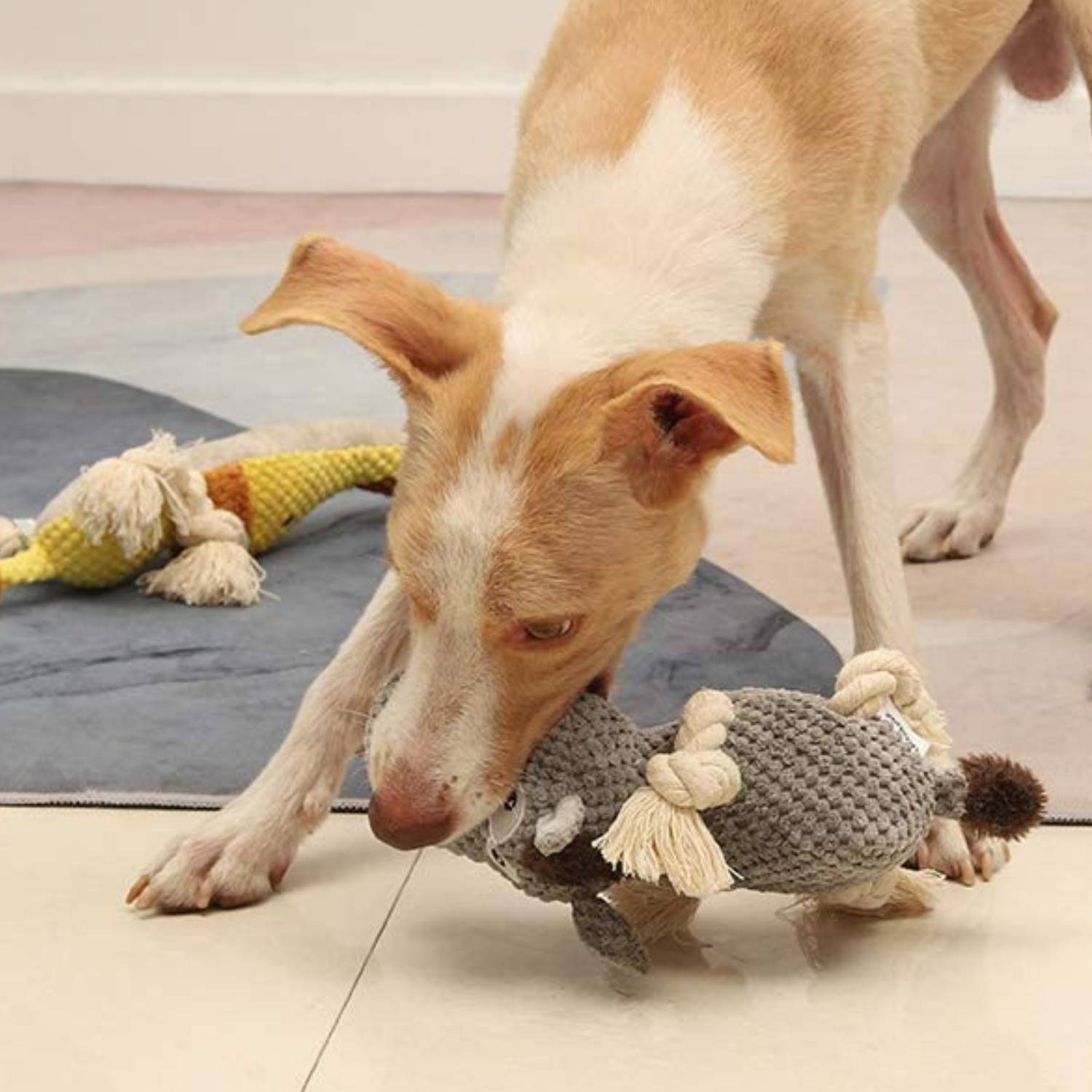 Squeaky Dog Chew Toy, Plush Donkey