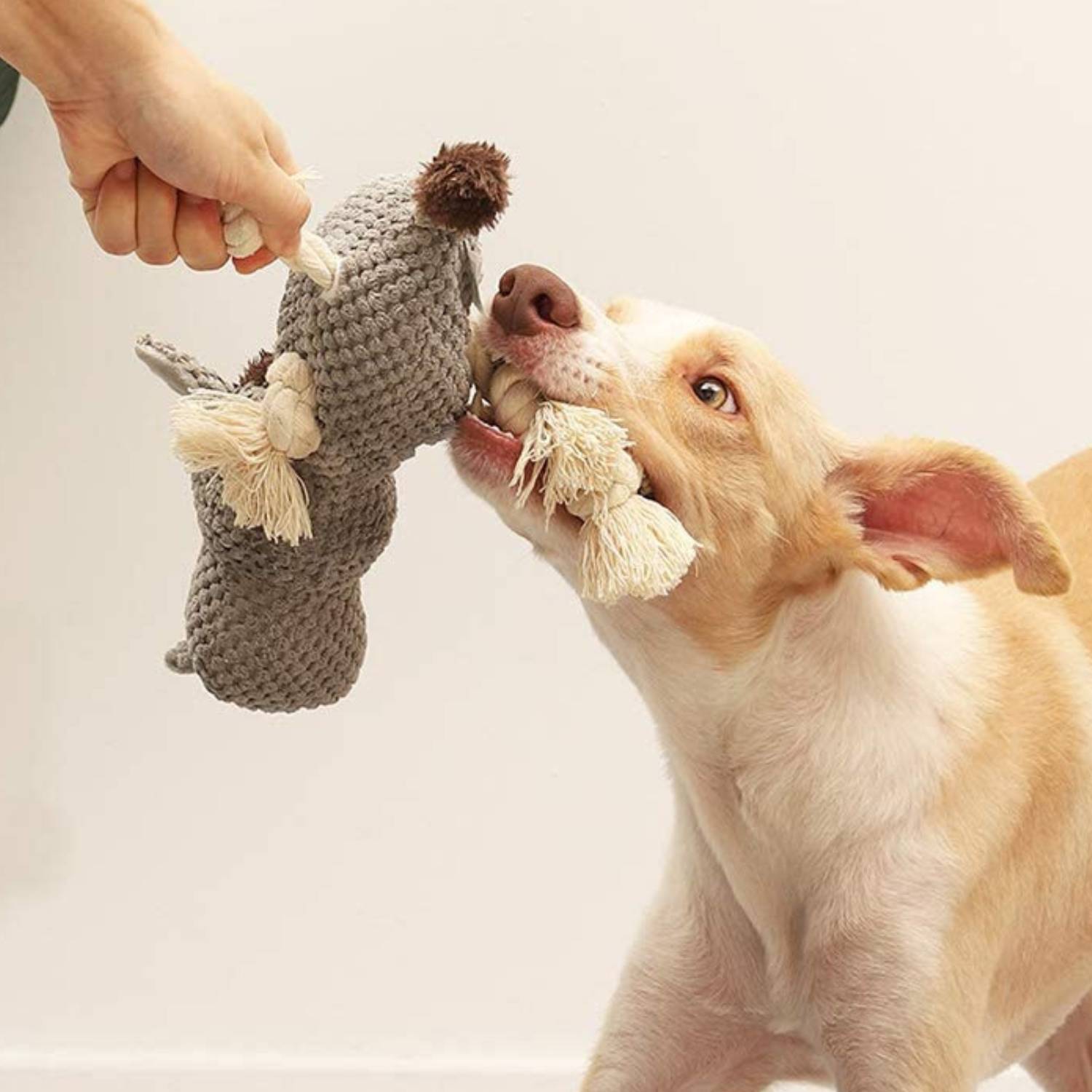 Squeaky Dog Chew Toy, Plush Donkey