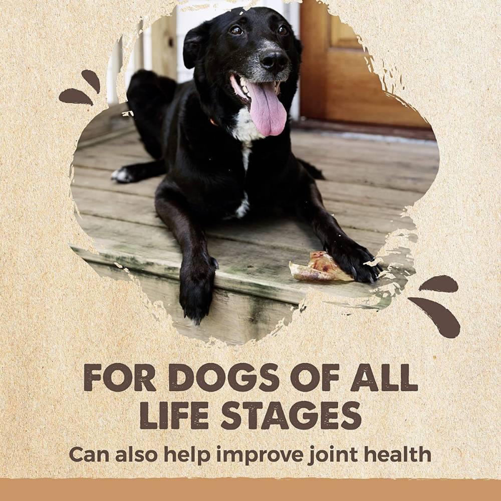 Natural Pork Ear Dog Treat, x10 Pack
