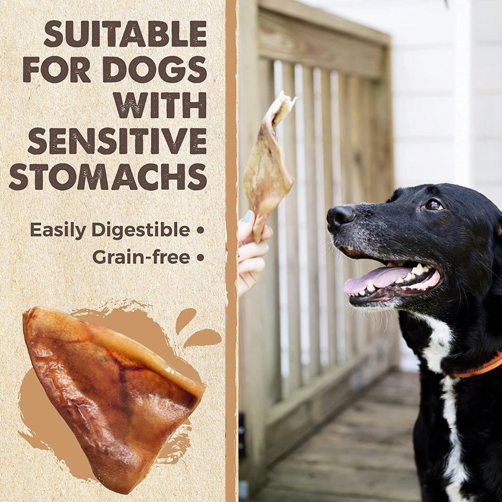Natural Pork Ear Dog Treat, x10 Pack
