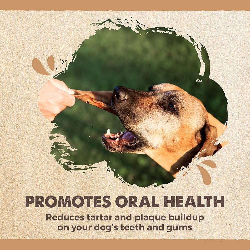 Natural Pork Ear Dog Treat, x10 Pack