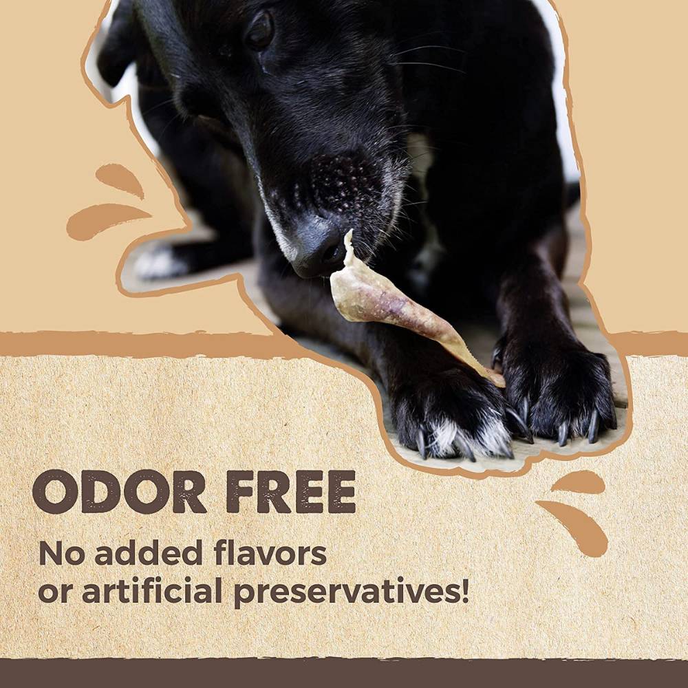 Natural Pork Ear Dog Treat, x10 Pack