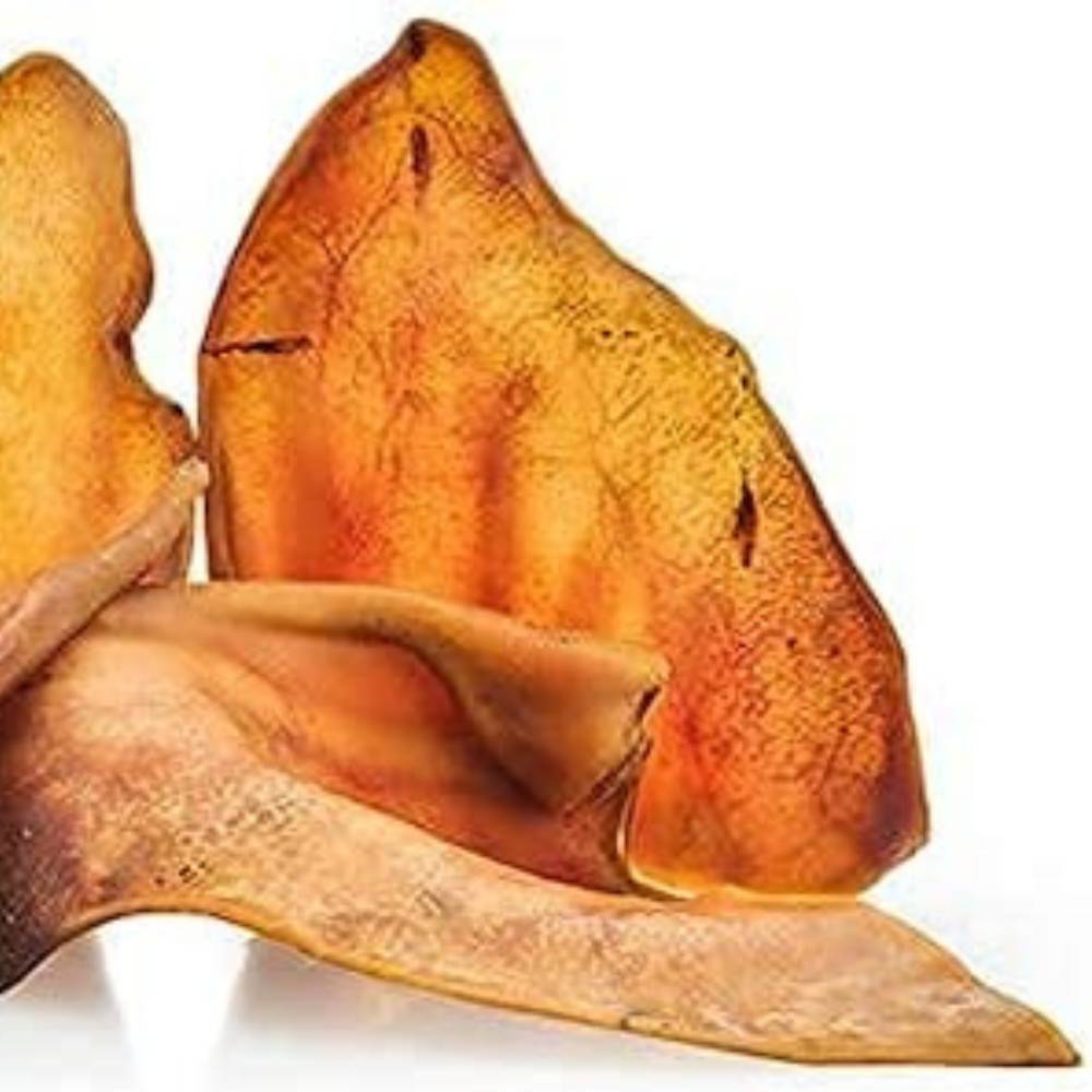 Natural Pork Ear Dog Treat, x10 Pack